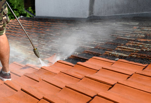Best Concrete Pressure Washing  in North Riverside, IL
